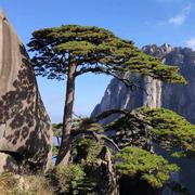 有知有行的个人资料头像