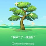 文藝的工科男头像