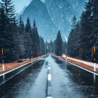 柑橘味风意头像