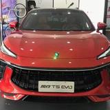 东风小珍头像