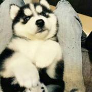 我永远喜欢阅读理解的个人资料头像