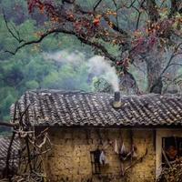 百事可樂56头像