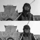 同志97586的个人资料头像