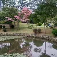 南宅德书香头像