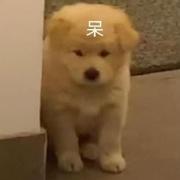 烟雨平生460的个人资料头像