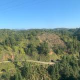 大山里的东哥头像