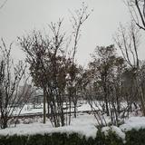 学渣当下很忧愁头像