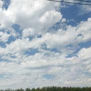 薄荷summer的个人资料头像