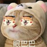 小张精彩生活头像