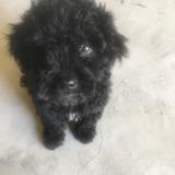 X君不见头像