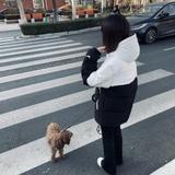 一往无前帅哥一人头像