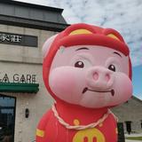 狐狸摔跤2025头像