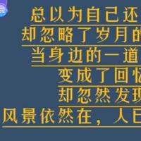 巴洛克安定头像