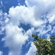 好小菜的个人资料头像