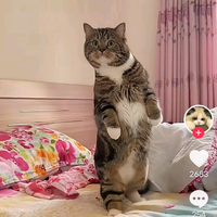 用户6731383955853头像