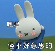 敲开的个人资料头像