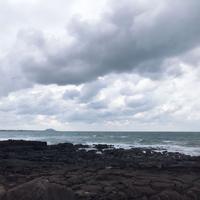 缤纷扑克1R1头像