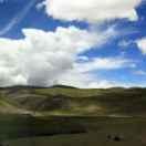 叶子曰的个人资料头像