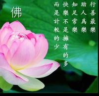 晟合源数字印刷-于文涛头像