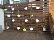 付小松的个人资料头像