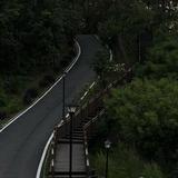 简单柳叶cma头像