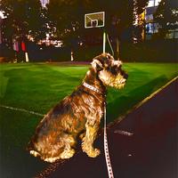 用户7351909253174头像