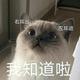 嗯嗯2443头像