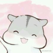 哈基宇宙之王的个人资料头像