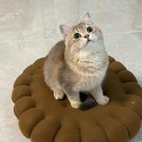 用户4251357170593头像