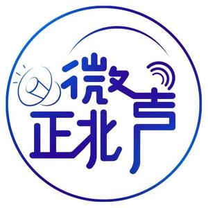 正北微声头像