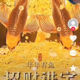 博弈7205头像