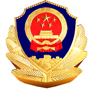 镇安公安头像