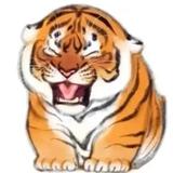 孙戈168头像
