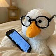 优羊youyang的个人资料头像