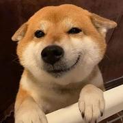 李安南的个人资料头像