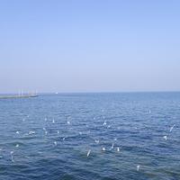 长颈鹿大叔l头像