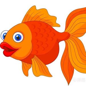 多鱼自媒体头像