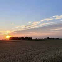 用户3169613669头像