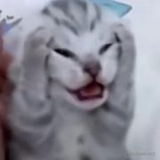 Awen_003的个人资料头像