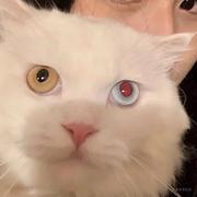 用户334978228295的个人资料头像