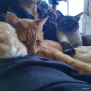 jigoku_hana的个人资料头像