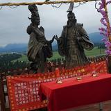 入疆燕子头像
