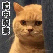 等鸡吃完了米狗舔完了面我就能中奖的个人资料头像