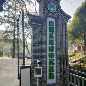 认真阜新5C6头像