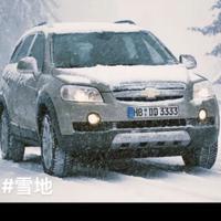 亲切清风qDj头像
