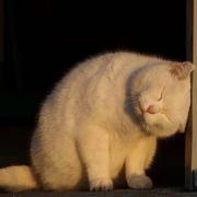 泡芙酱346的个人资料头像