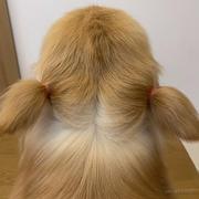 Amberwang的个人资料头像