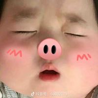宁宁不爱吃肉肉头像