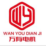 湖北万有电机进出口有限公司头像