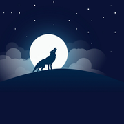 二哈不哈的个人资料头像